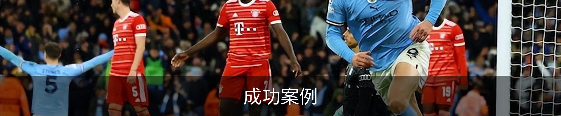 成功案例